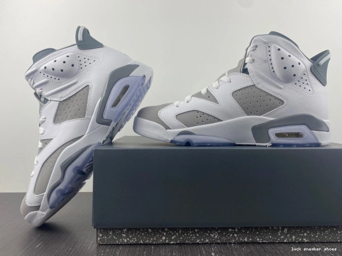 Cheap LUCY Cool CT8529-100 Grey Air Jordan 6 0824